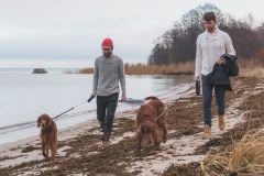 MITHIO merinowool sweaters